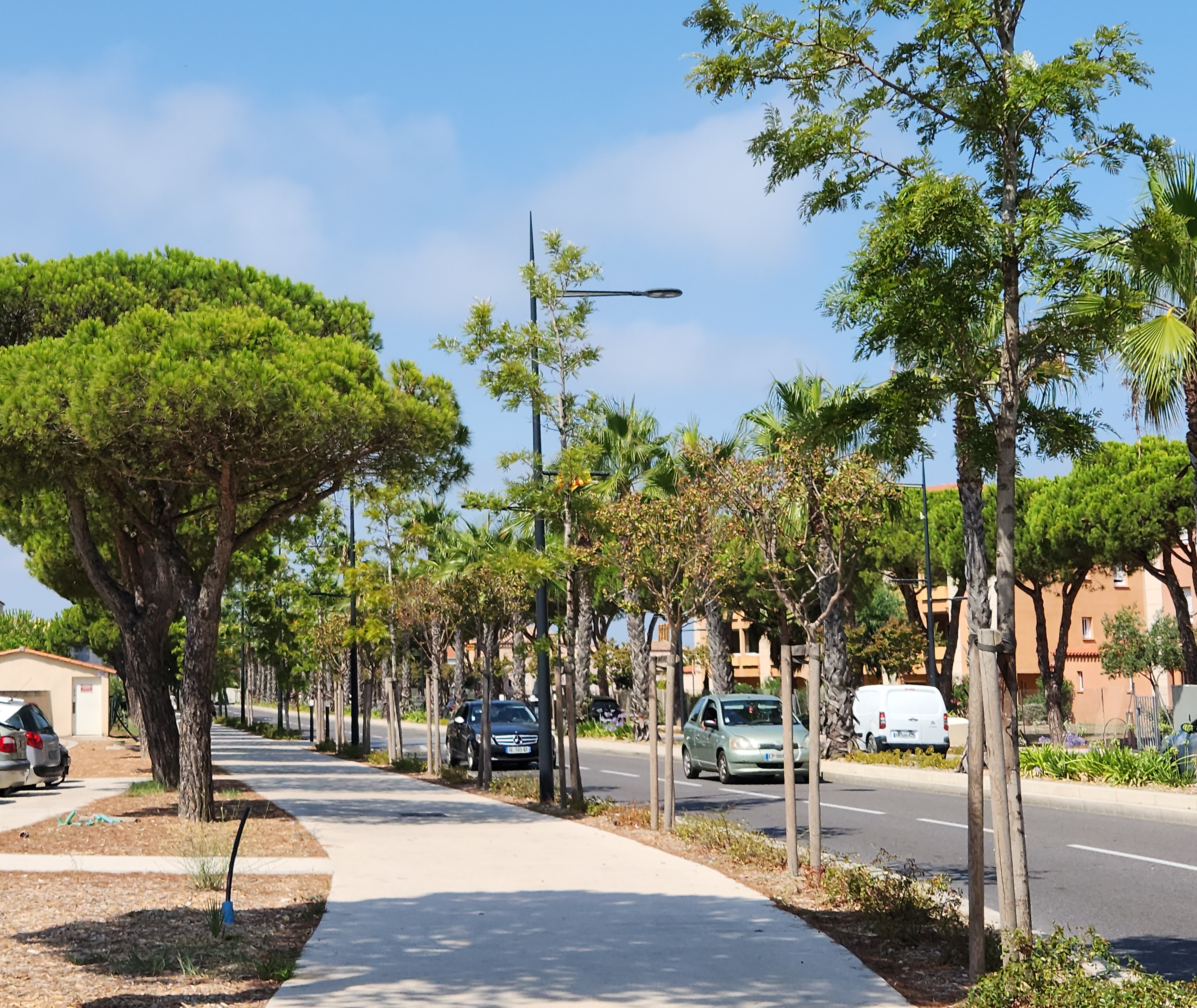 Marché du Barcarès