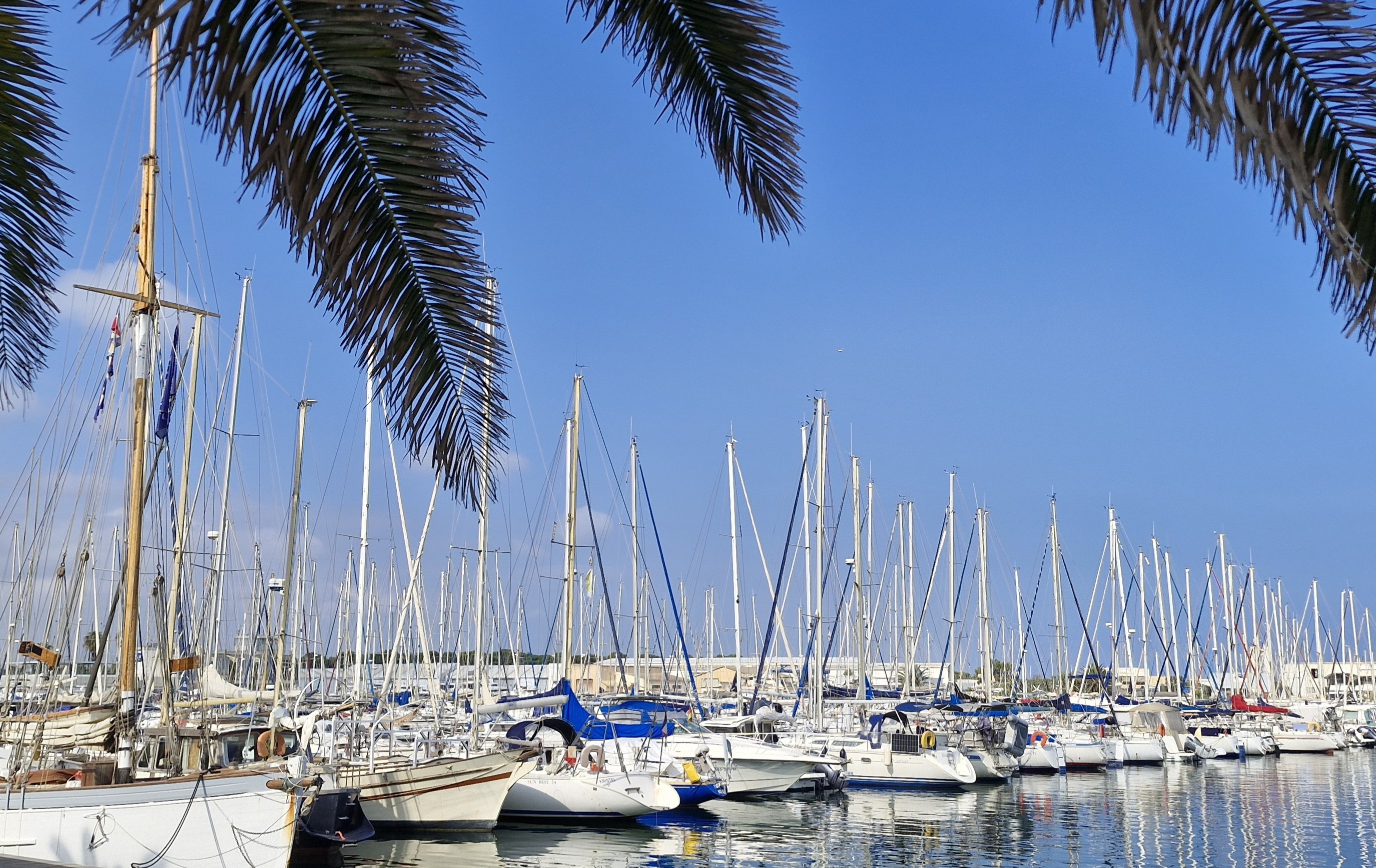 Port de Canet-en-Roussillon